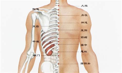 女人背後有痣|背部有痣图解大全 背部有痣的人看命运